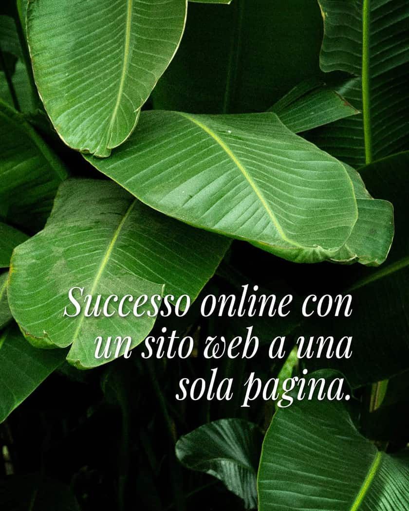 Vuoi un sito web efficace? Il nostro servizio di creazione di siti a pagina unica è economico e senza stress. Ci occupiamo di tutto!